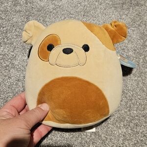 NWT Bull Dog Squishmallow 5"